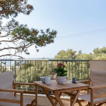 Alexandros Maisonettes & Apartments Неа Мудания Екстериор снимка